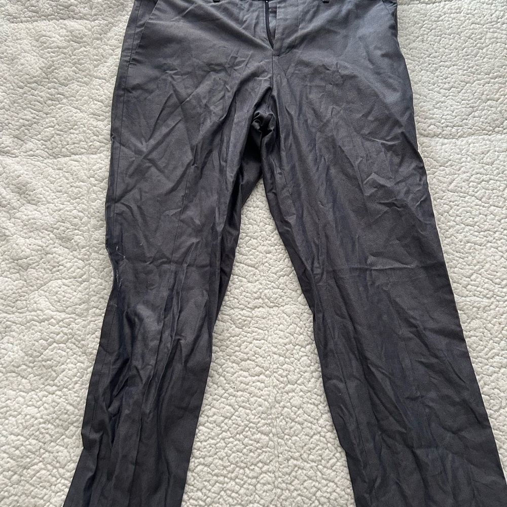 Express Dress Pants - Size 29